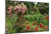 Claude Monet's Garden in Giverny, Department of Eure, Upper Normandy, France-null-Mounted Art Print