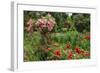 Claude Monet's Garden in Giverny, Department of Eure, Upper Normandy, France-null-Framed Art Print