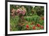 Claude Monet's Garden in Giverny, Department of Eure, Upper Normandy, France-null-Framed Art Print