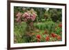 Claude Monet's Garden in Giverny, Department of Eure, Upper Normandy, France-null-Framed Art Print