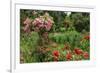 Claude Monet's Garden in Giverny, Department of Eure, Upper Normandy, France-null-Framed Art Print