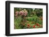 Claude Monet's Garden in Giverny, Department of Eure, Upper Normandy, France-null-Framed Art Print