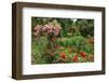 Claude Monet's Garden in Giverny, Department of Eure, Upper Normandy, France-null-Framed Art Print