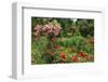 Claude Monet's Garden in Giverny, Department of Eure, Upper Normandy, France-null-Framed Art Print