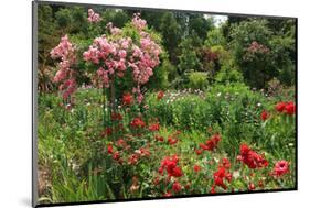 Claude Monet's Garden in Giverny, Department of Eure, Upper Normandy, France-null-Mounted Art Print