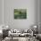 Claude Monet's Garden Pond in Giverny, France-Charles Sleicher-Photographic Print displayed on a wall