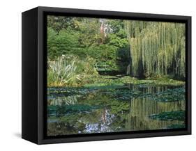 Claude Monet's Garden Pond in Giverny, France-Charles Sleicher-Framed Stretched Canvas