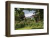 Claude Monet's House and Garden in Giverny, Department of Eure, Upper Normandy, France-null-Framed Premium Giclee Print