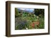 Claude Monet's House and Garden in Giverny, Department of Eure, Upper Normandy, France-null-Framed Premium Giclee Print