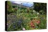 Claude Monet's House and Garden in Giverny, Department of Eure, Upper Normandy, France-null-Stretched Canvas