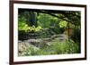 Claude Monet's Water Garden in Giverny, Department of Eure, Upper Normandy, France-null-Framed Premium Giclee Print