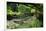 Claude Monet's Water Garden in Giverny, Department of Eure, Upper Normandy, France-null-Framed Premium Giclee Print