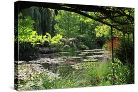 Claude Monet's Water Garden in Giverny, Department of Eure, Upper Normandy, France-null-Stretched Canvas