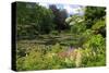 Claude Monet's Water Garden in Giverny, Department of Eure, Upper Normandy, France-null-Stretched Canvas