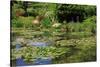 Claude Monet's Water Garden in Giverny, Department of Eure, Upper Normandy, France-null-Stretched Canvas