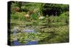 Claude Monet's Water Garden in Giverny, Department of Eure, Upper Normandy, France-null-Stretched Canvas