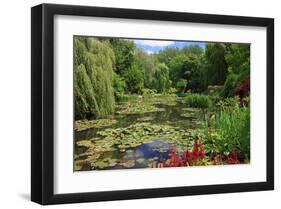 Claude Monet's Water Garden in Giverny, Department of Eure, Upper Normandy, France-null-Framed Art Print