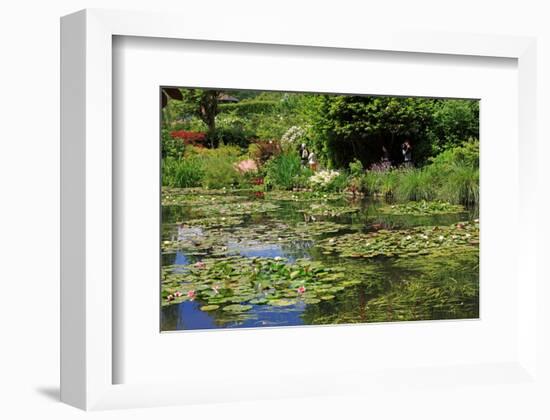 Claude Monet's Water Garden in Giverny, Department of Eure, Upper Normandy, France-null-Framed Art Print