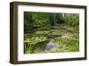 Claude Monet's Water Garden in Giverny, Department of Eure, Upper Normandy, France-null-Framed Art Print