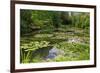 Claude Monet's Water Garden in Giverny, Department of Eure, Upper Normandy, France-null-Framed Art Print