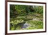 Claude Monet's Water Garden in Giverny, Department of Eure, Upper Normandy, France-null-Framed Art Print