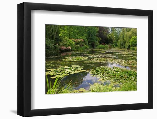 Claude Monet's Water Garden in Giverny, Department of Eure, Upper Normandy, France-null-Framed Art Print