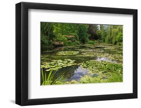 Claude Monet's Water Garden in Giverny, Department of Eure, Upper Normandy, France-null-Framed Art Print