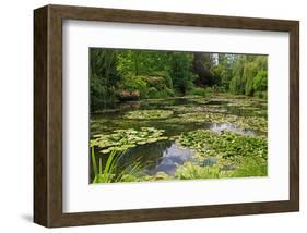 Claude Monet's Water Garden in Giverny, Department of Eure, Upper Normandy, France-null-Framed Art Print