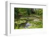 Claude Monet's Water Garden in Giverny, Department of Eure, Upper Normandy, France-null-Framed Art Print