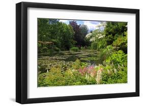 Claude Monet's Water Garden in Giverny, Department of Eure, Upper Normandy, France-null-Framed Art Print