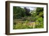 Claude Monet's Water Garden in Giverny, Department of Eure, Upper Normandy, France-null-Framed Art Print