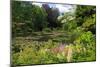 Claude Monet's Water Garden in Giverny, Department of Eure, Upper Normandy, France-null-Mounted Art Print