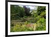 Claude Monet's Water Garden in Giverny, Department of Eure, Upper Normandy, France-null-Framed Art Print