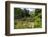 Claude Monet's Water Garden in Giverny, Department of Eure, Upper Normandy, France-null-Framed Art Print