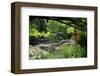 Claude Monet's Water Garden in Giverny, Department of Eure, Upper Normandy, France-null-Framed Art Print