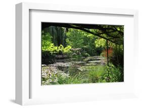 Claude Monet's Water Garden in Giverny, Department of Eure, Upper Normandy, France-null-Framed Art Print