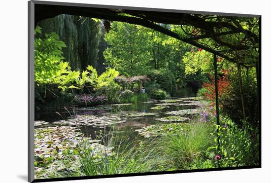 Claude Monet's Water Garden in Giverny, Department of Eure, Upper Normandy, France-null-Mounted Art Print