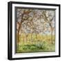 Black Frame