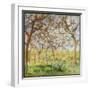 White Frame