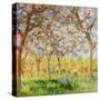 Stretched Canvas
