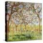 Stretched Canvas