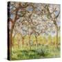 Stretched Canvas