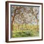 Brown Frame