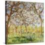 Stretched Canvas