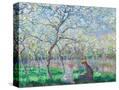 Stretched Canvas