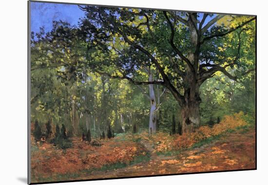 Claude Monet The Bodmer Oak Fontainbleau Forest Art Print Poster-null-Mounted Poster