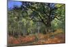 Claude Monet The Bodmer Oak Fontainbleau Forest Art Print Poster-null-Mounted Poster