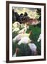 Claude Monet The Gobbler-null-Framed Art Print