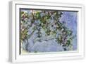 White Frame