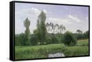 Canvas Black